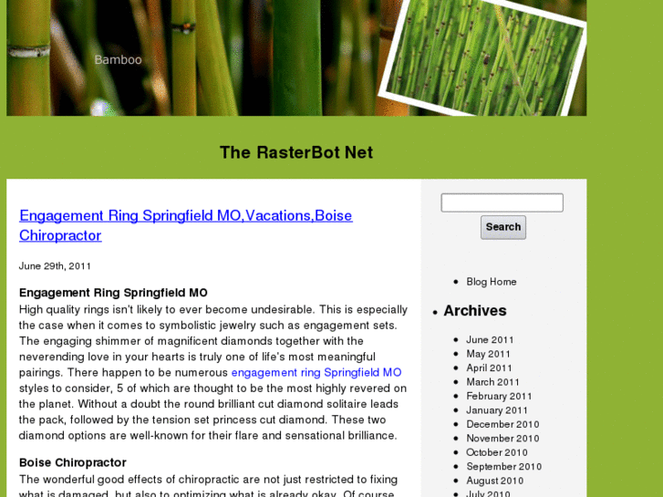 www.rasterbot.net