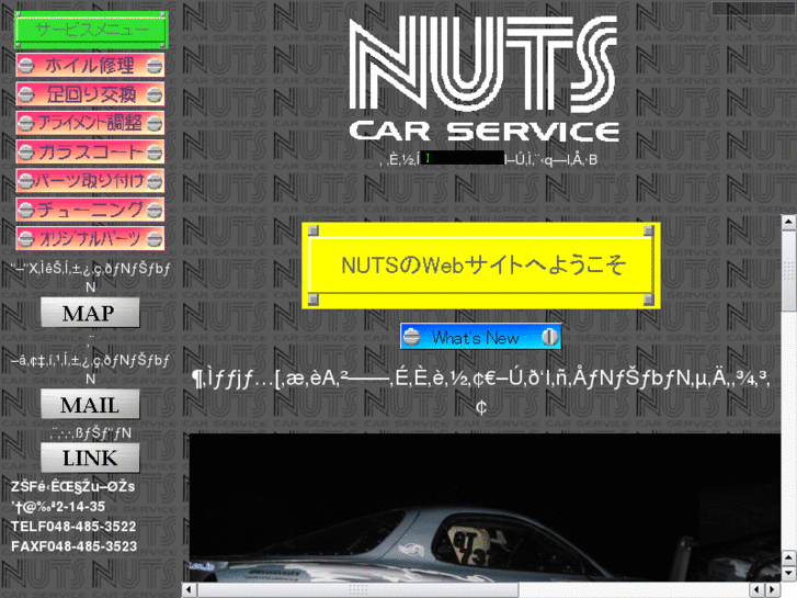 www.nuts-cs.com