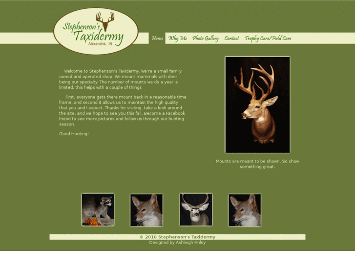 www.stephensonstaxidermy.com