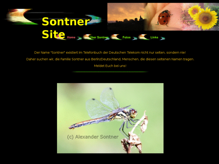 www.sontner.net