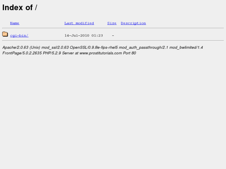www.prostitutorials.com