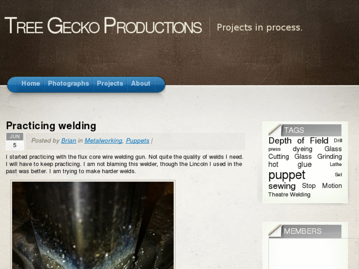 www.treegecko.com