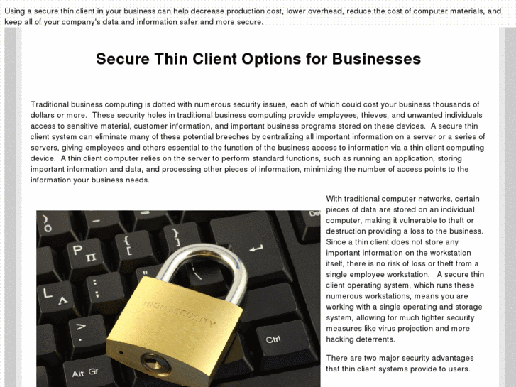 www.securethinclient.com