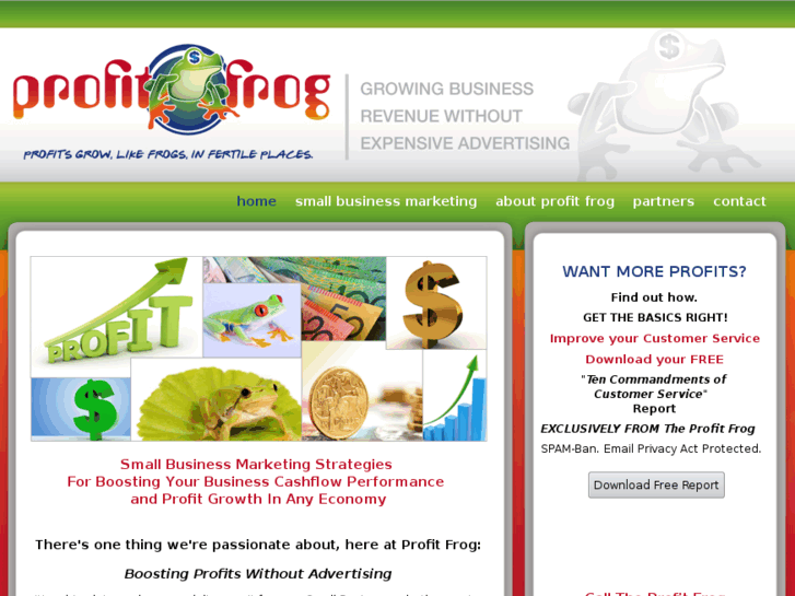 www.theprofitfrog.com