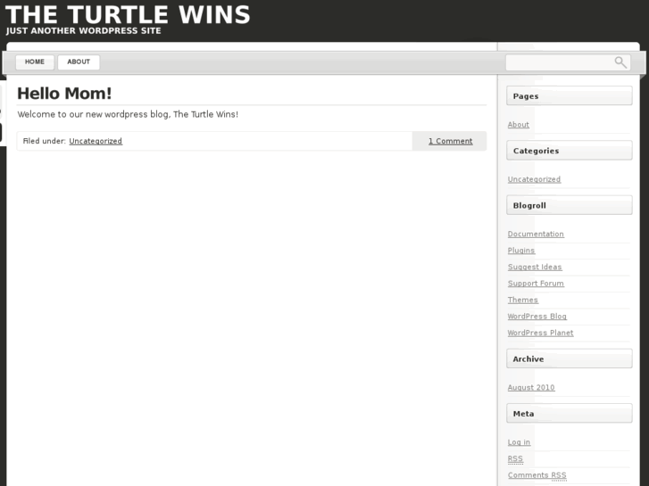 www.theturtlewins.com