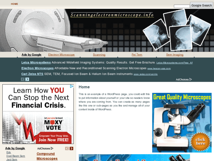 www.scanningelectronmicroscope.info