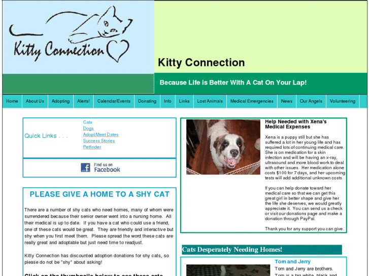 www.kittyconnection.net