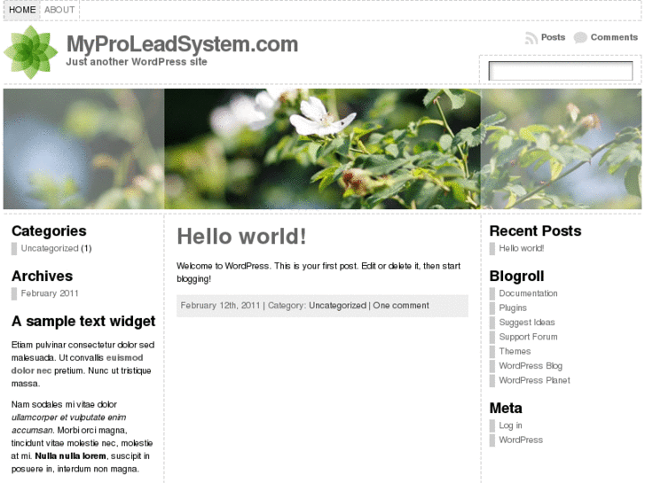 www.myproleadsystem.com