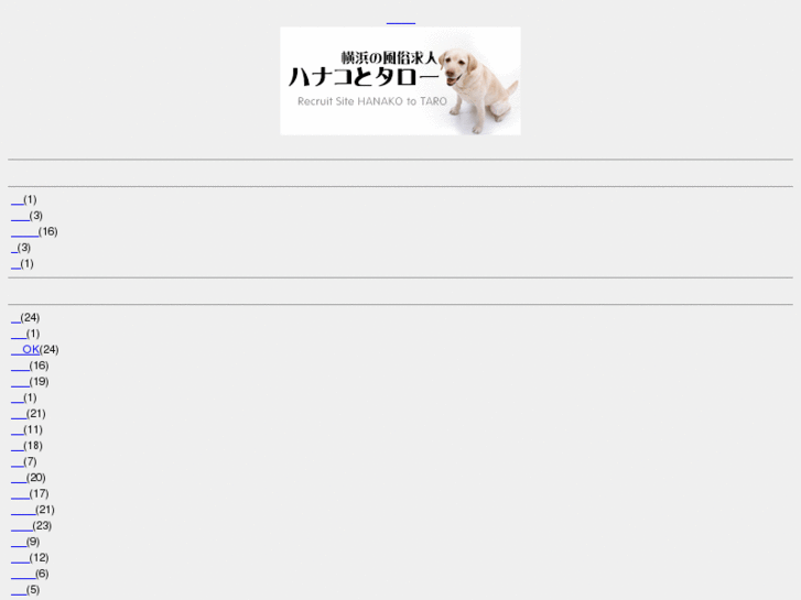 www.yokohama-kyujin.net