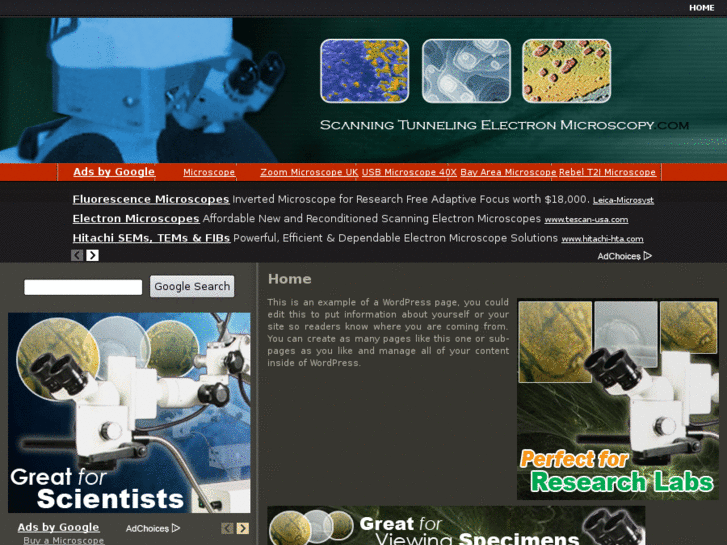 www.scanningtunnelingelectronmicroscopy.com