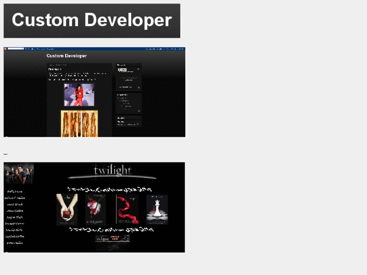 www.custom-developer.com