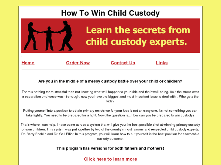 www.howtowinchildcustody.net