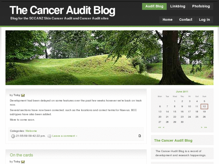 www.theauditblog.com