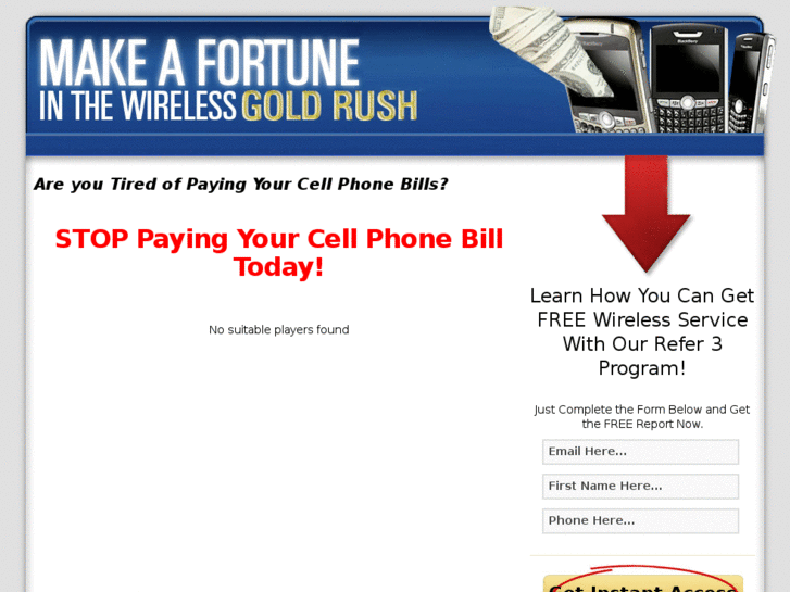 www.wirelesswealthsystem.net