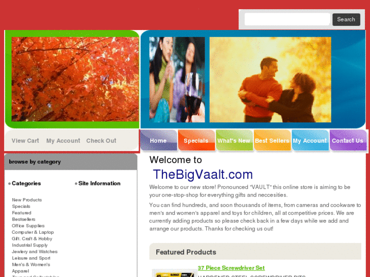 www.thebigvaalt.com