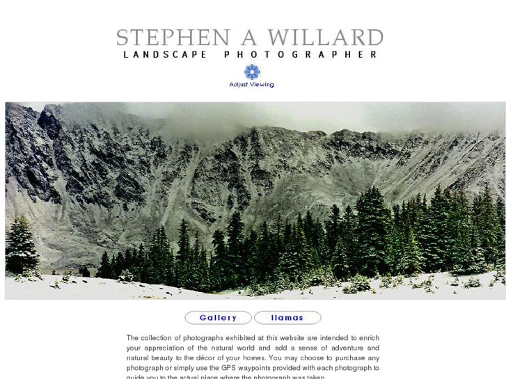 www.stephenwillard.com