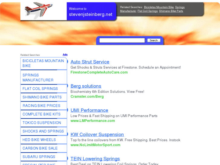 www.stevenjsteinberg.net