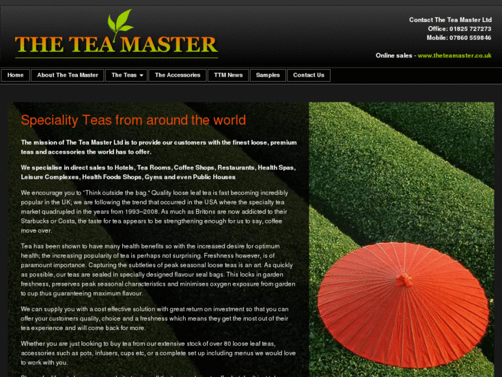 www.theteamaster.net