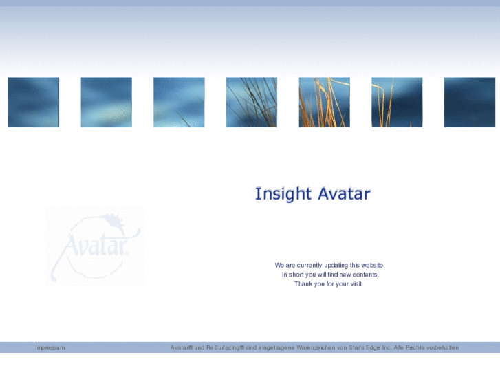 www.insight-avatar.net