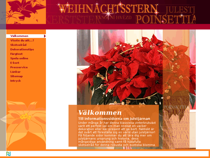 www.julstjaerna.info
