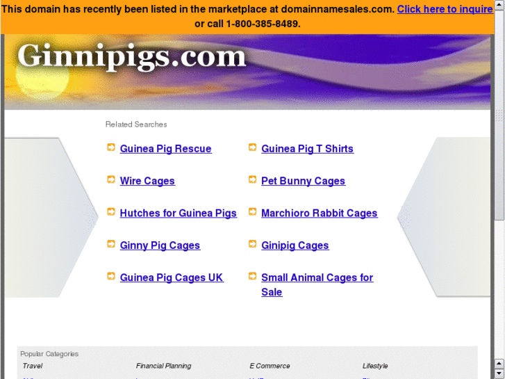 www.ginnipigs.com