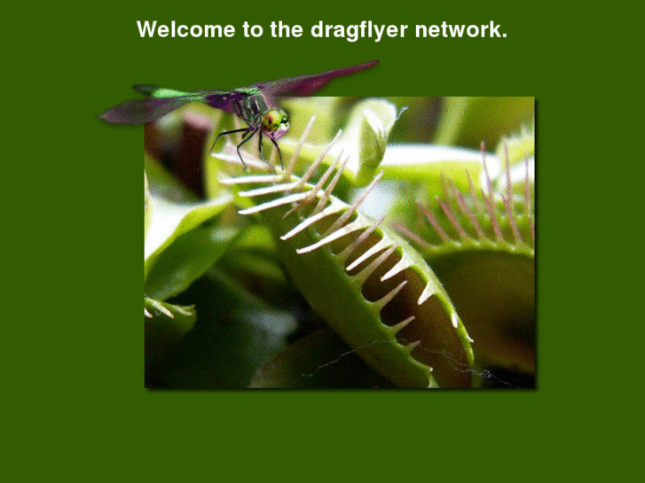 www.dragflyer.net