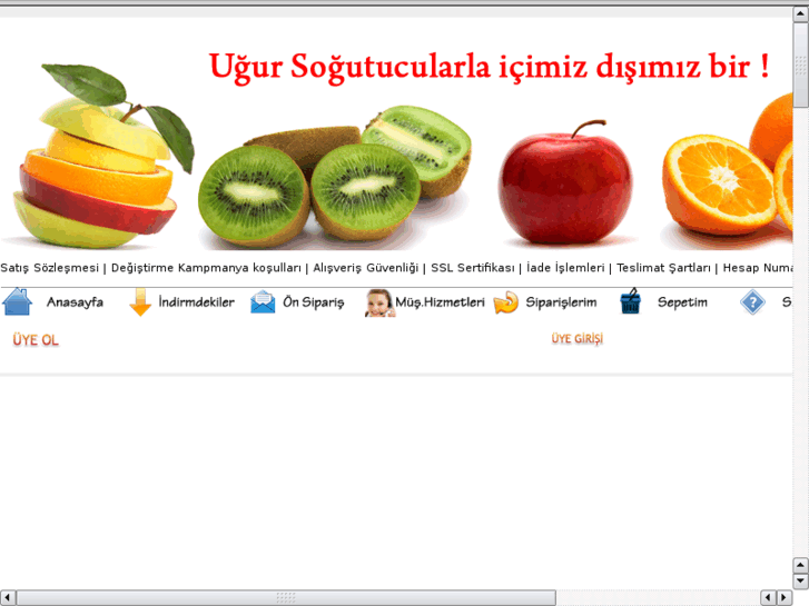 www.uguronlinesatis.net