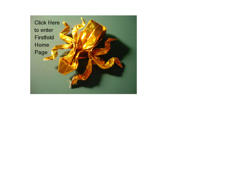 www.firstfold.net