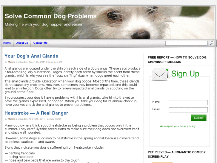 www.solvecommondogproblems.com