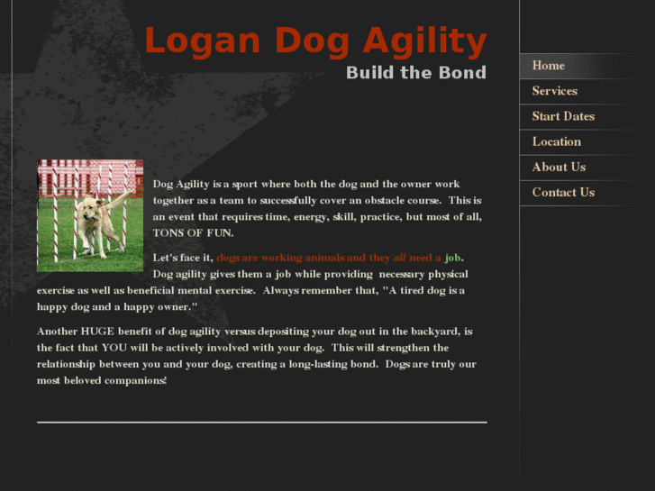 www.logandogagility.com