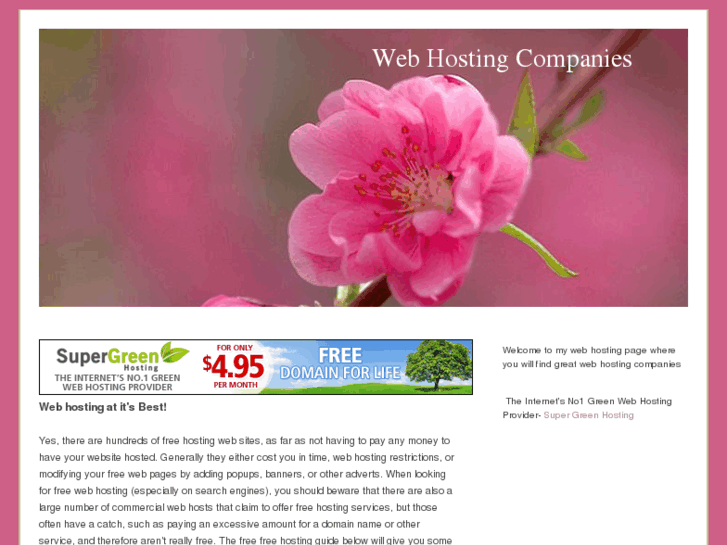 www.myweb-hosting-site.info