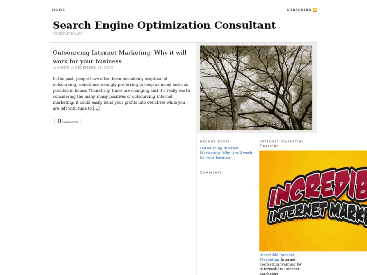www.websearchengineoptimizationconsultant.com