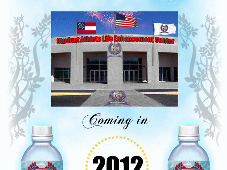 www.saleprogram.org