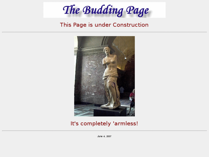 www.ewoudbudding.com