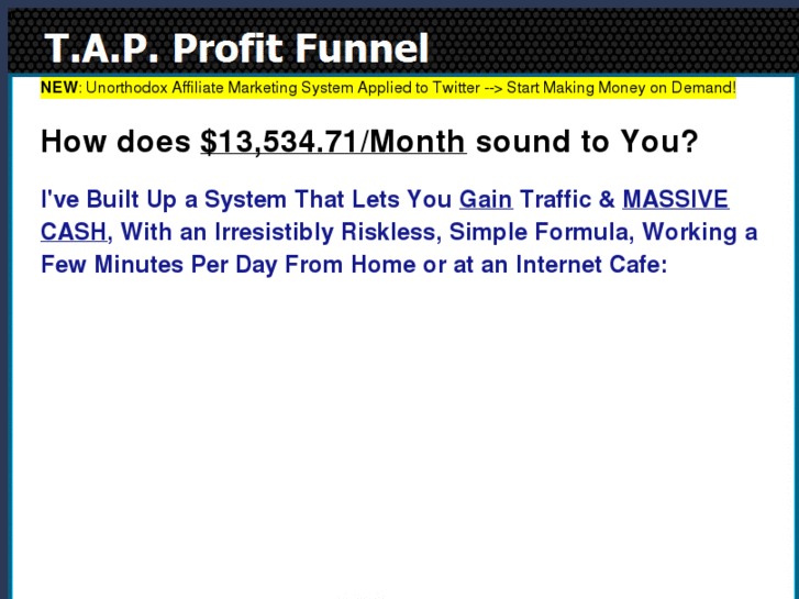 www.learntwitterfast.com