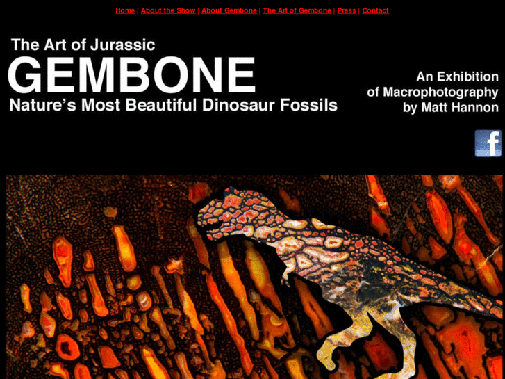 www.gembone.net