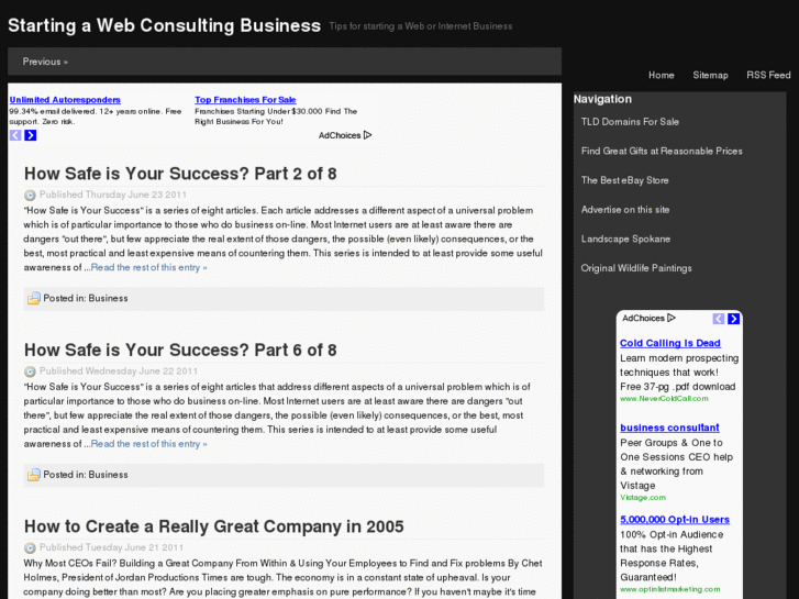 www.webs-consulting.net