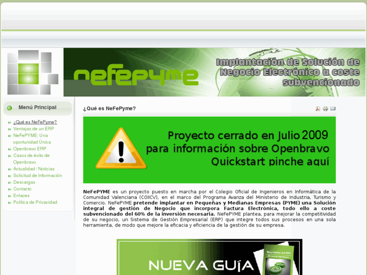 www.nefepyme.es