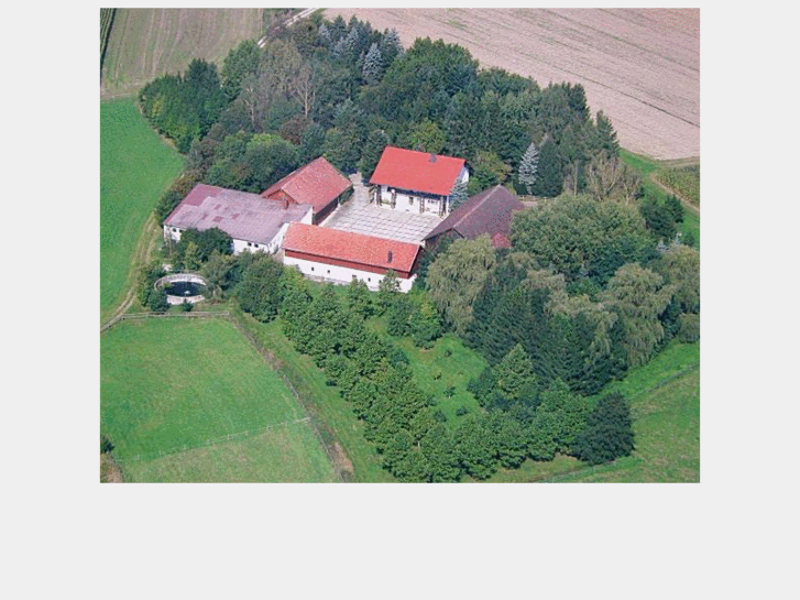 www.spitzmaeusing.org