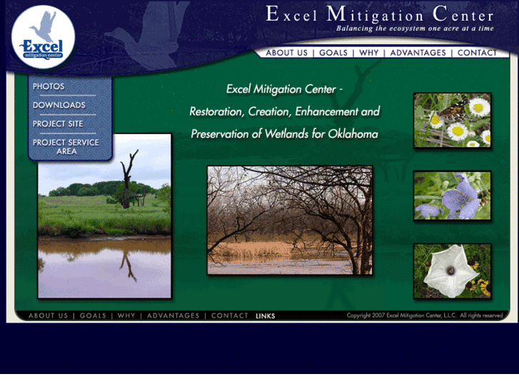 www.excelmitigationcenter.com