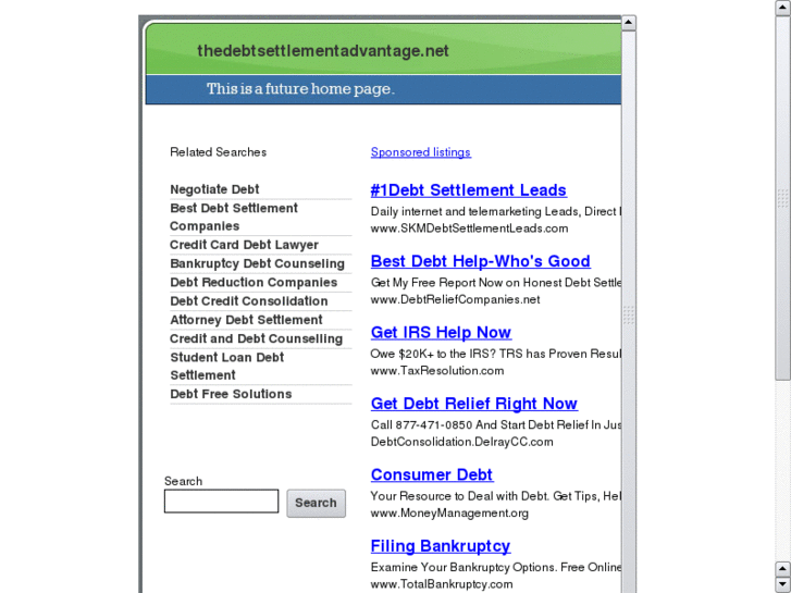 www.thedebtsettlementadvantage.net