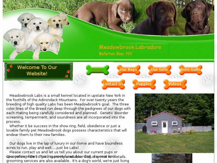 www.meadowbrooklabs.net