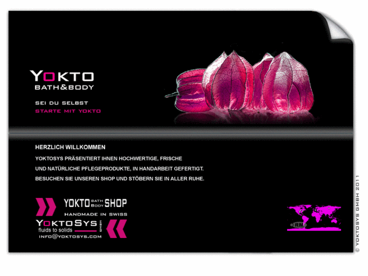 www.yoktosys.com