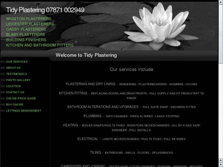www.tidyplastering.com