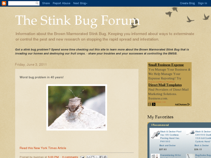 www.stinkbugforum.net
