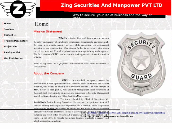 www.zingsecurity.com
