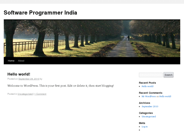 www.softwareprogrammerindia.net