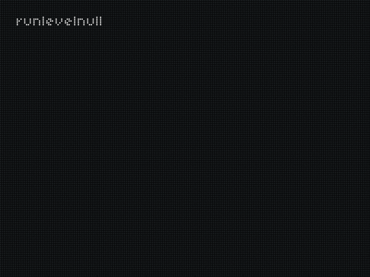www.runlevelnull.de