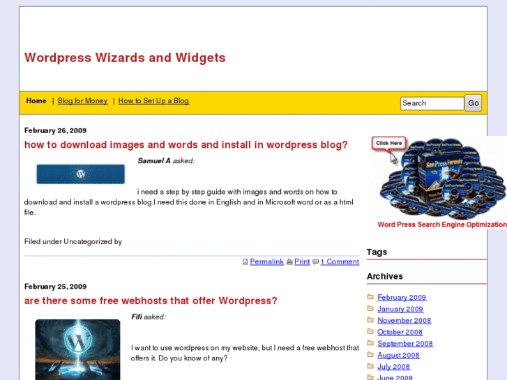www.wordpresswizardsandwidgets.com