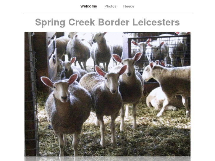 www.springcreekleicesters.com